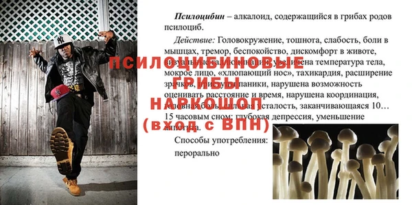 винт Каменск-Шахтинский