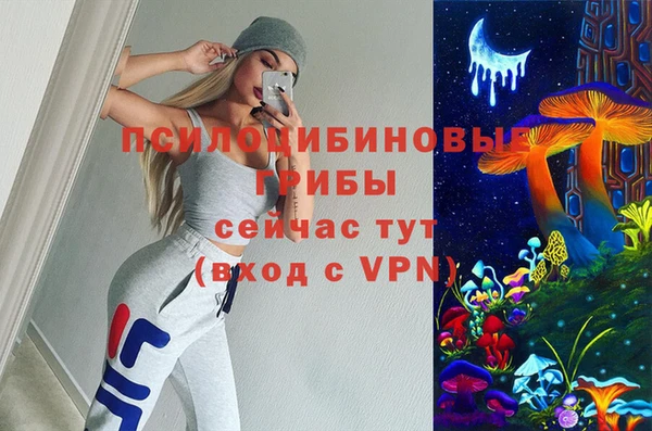 винт Каменск-Шахтинский