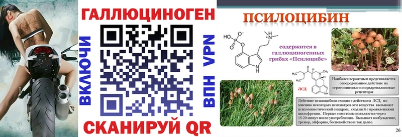 Псилоцибиновые грибы прущие грибы  Купить где  Злынка 